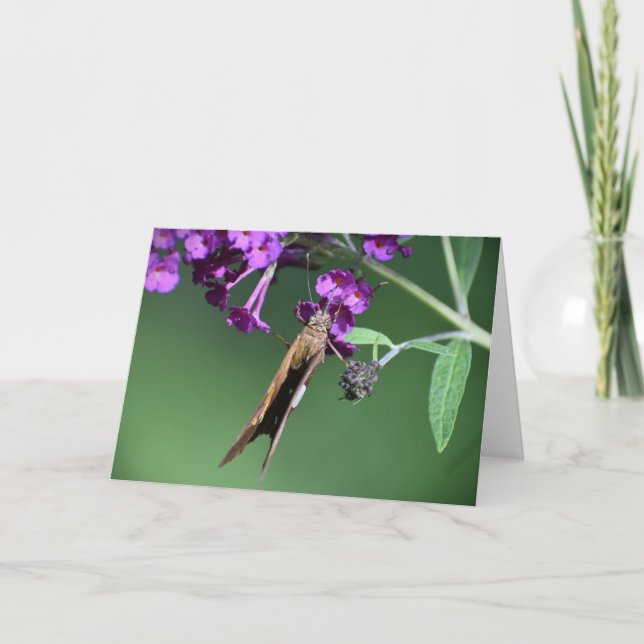 Butterfly, card (Front)