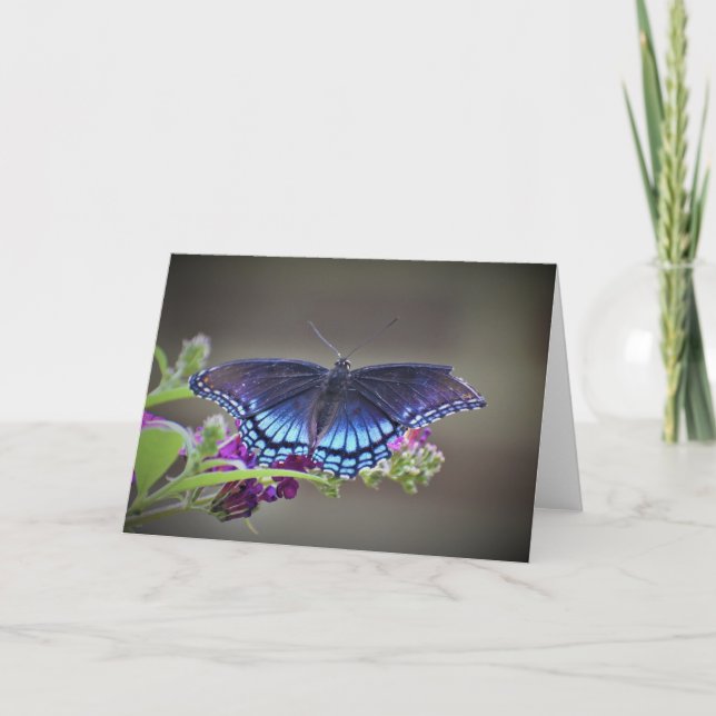 Butterfly, card (Front)