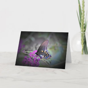 Butterfly, card