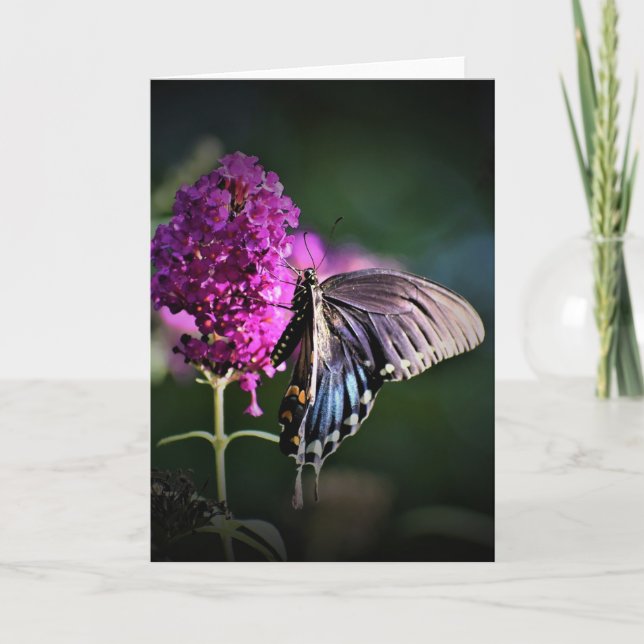 Butterfly, card (Front)
