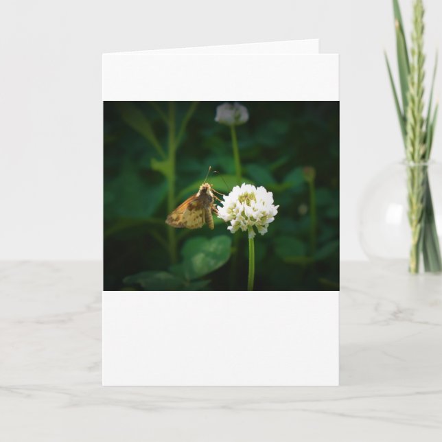 Butterfly, card (Front)