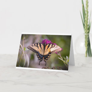 Butterfly, card