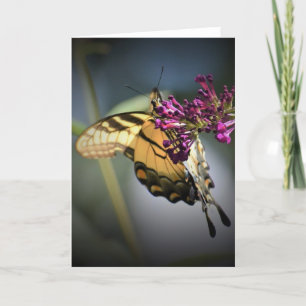 Butterfly, card
