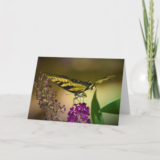 Butterfly, card (Front)