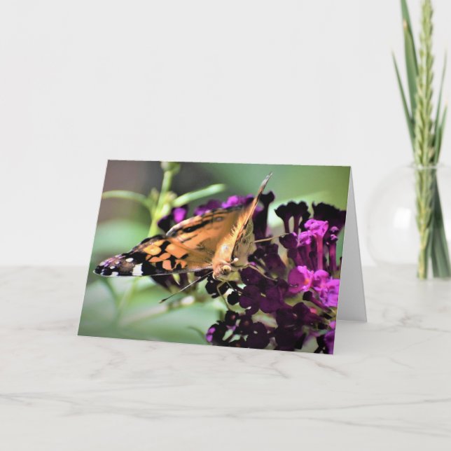 Butterfly, card (Front)