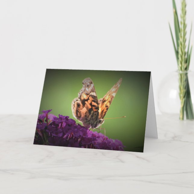 Butterfly, card (Front)