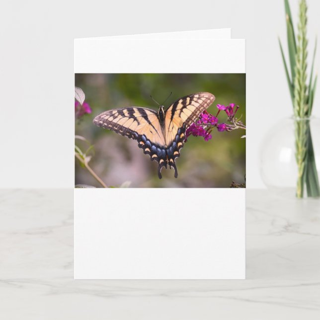 Butterfly, card (Front)