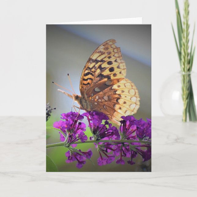 Butterfly, card (Front)