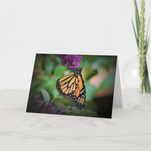 Butterfly, card