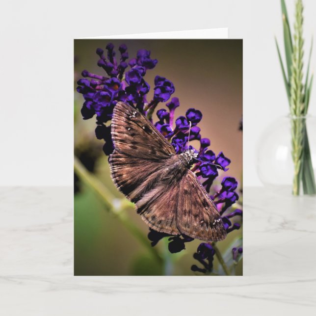 Butterfly, card (Front)