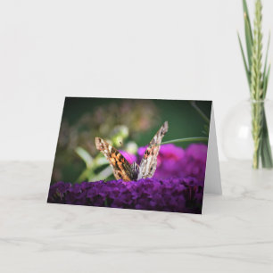 Butterfly, card
