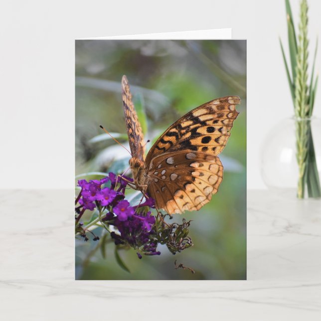 Butterfly, card (Front)