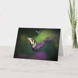Butterfly, card