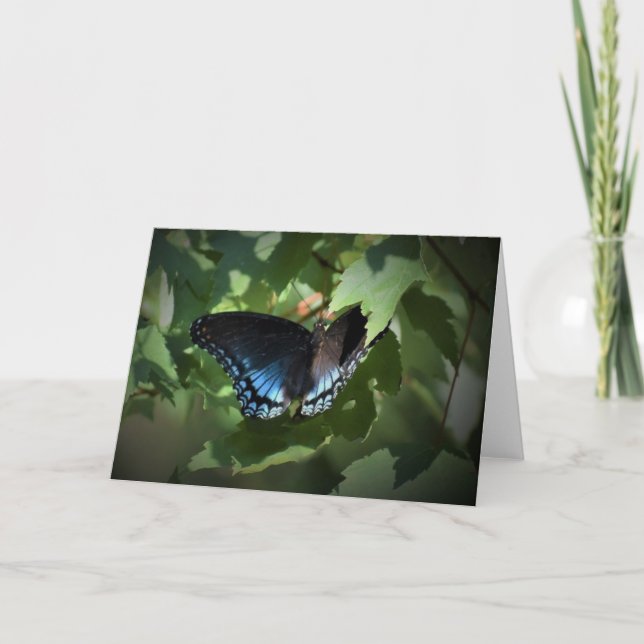 Butterfly, card (Front)