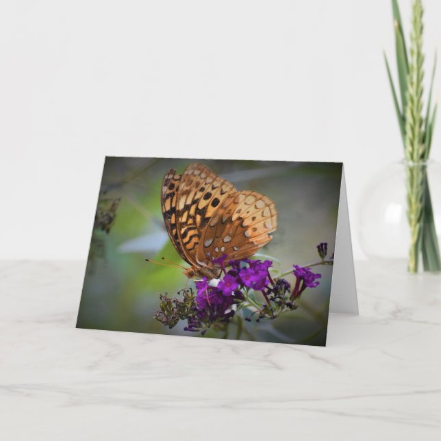 Butterfly, card (Front)