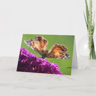 Butterfly, card