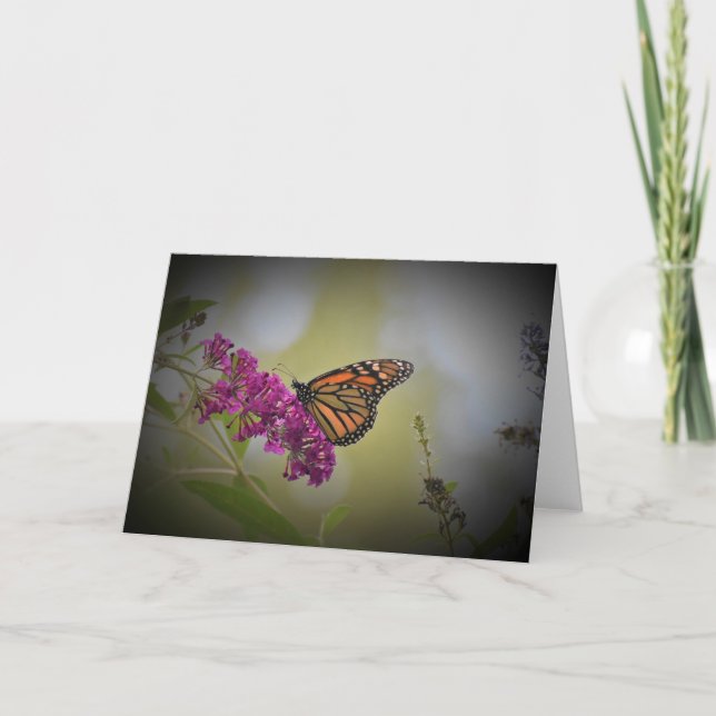 Butterfly, card (Front)