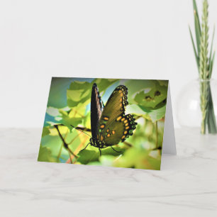 Butterfly, card