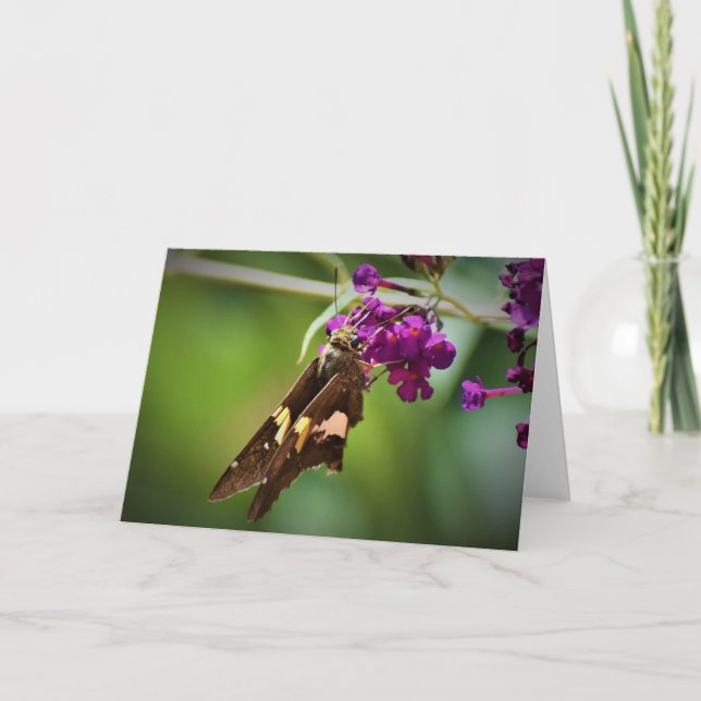 Butterfly, card (Front)