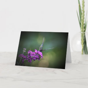 Butterfly, card