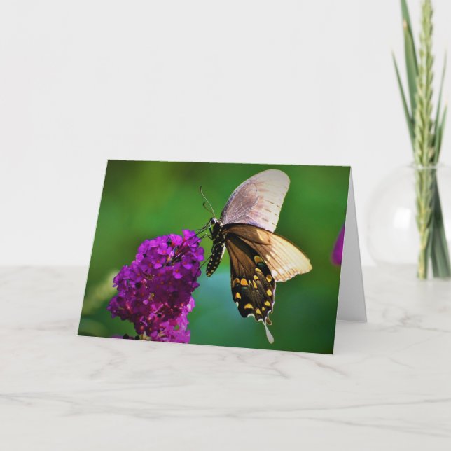 Butterfly, card (Front)