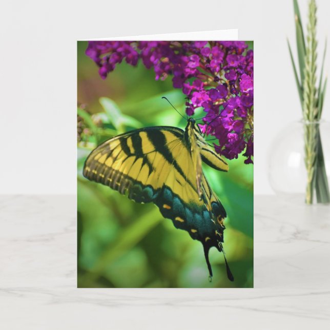 Butterfly, card (Front)