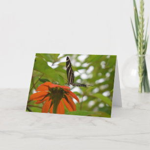 Butterfly Card