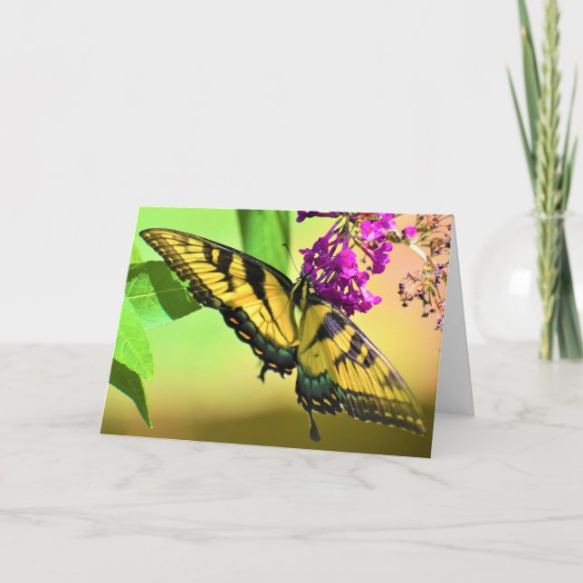 Butterfly, card (Front)