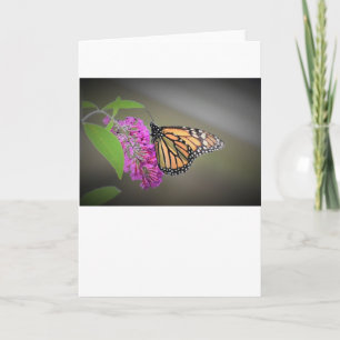 Butterfly, card