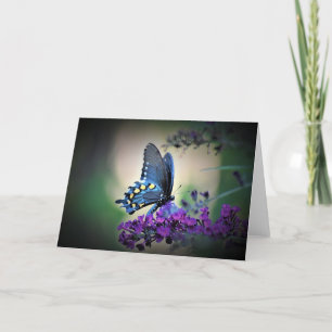 Butterfly, card