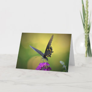 Butterfly, card