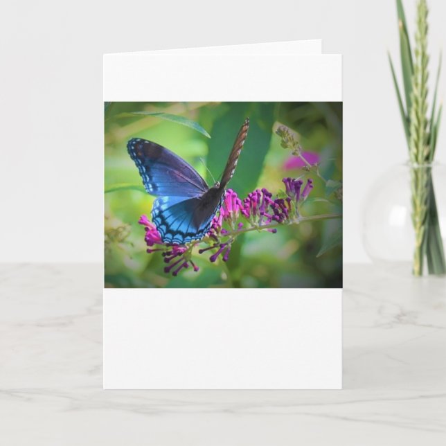 Butterfly, card (Front)