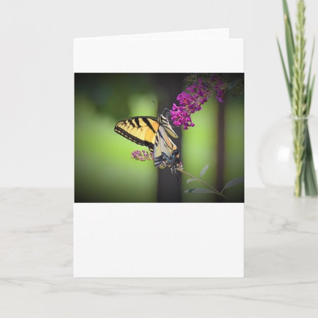 Butterfly, card (Front)