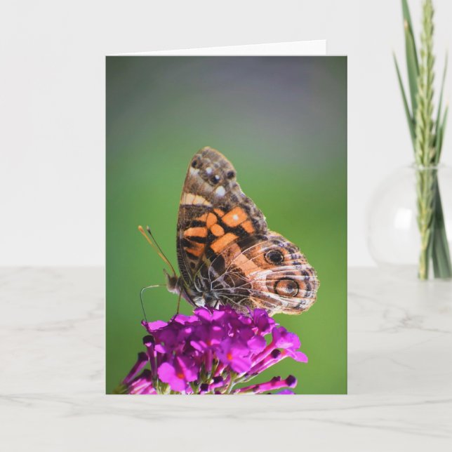 Butterfly, card (Front)