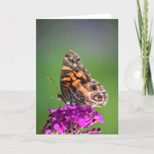 Butterfly, card