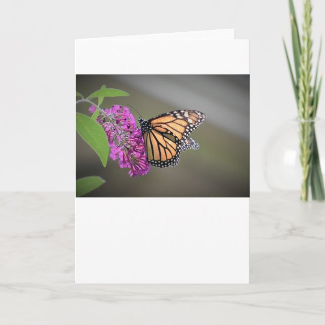 Butterfly, card (Front)