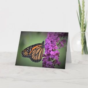 Butterfly, card
