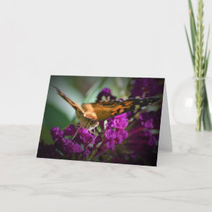 Butterfly, card