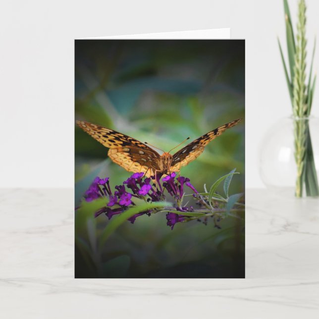 Butterfly, card (Front)