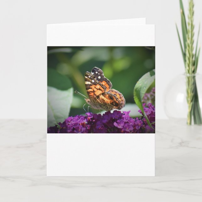 Butterfly, card (Front)