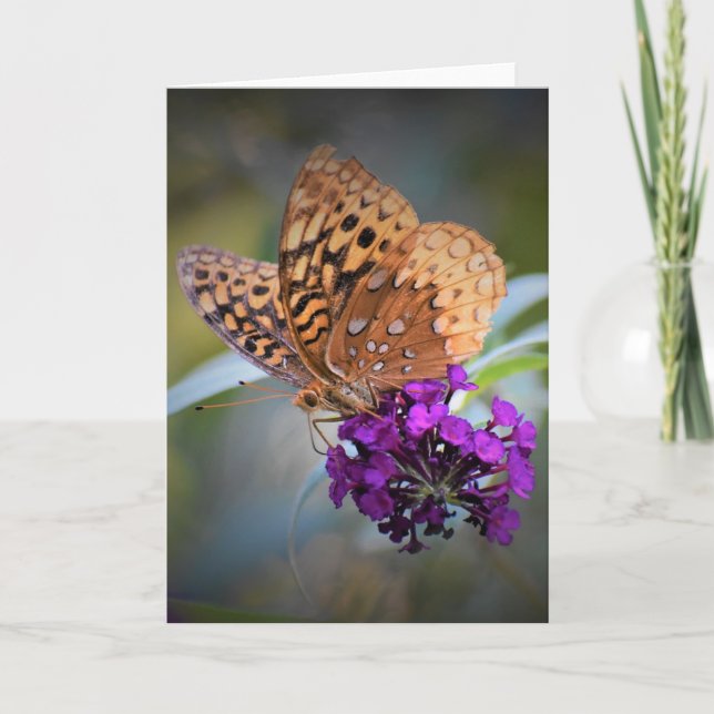 Butterfly, card (Front)