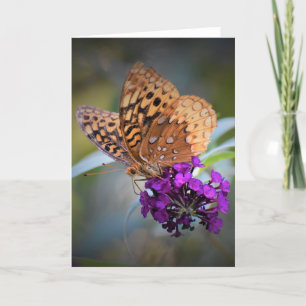 Butterfly, card