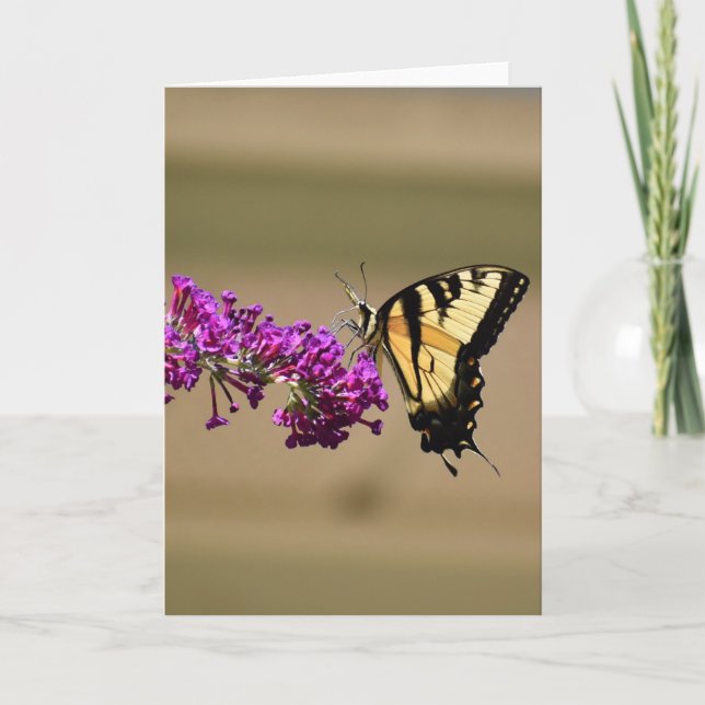 Butterfly, card (Front)