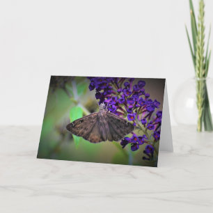 Butterfly, card