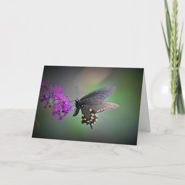 Butterfly, card (Front)