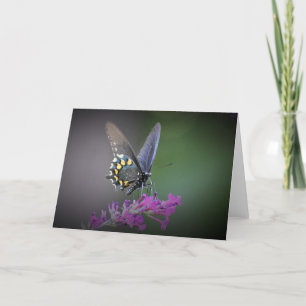 Butterfly, card