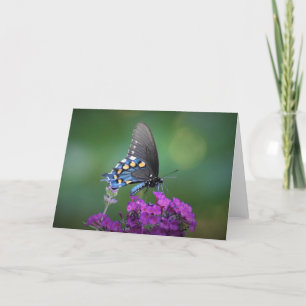 Butterfly, card