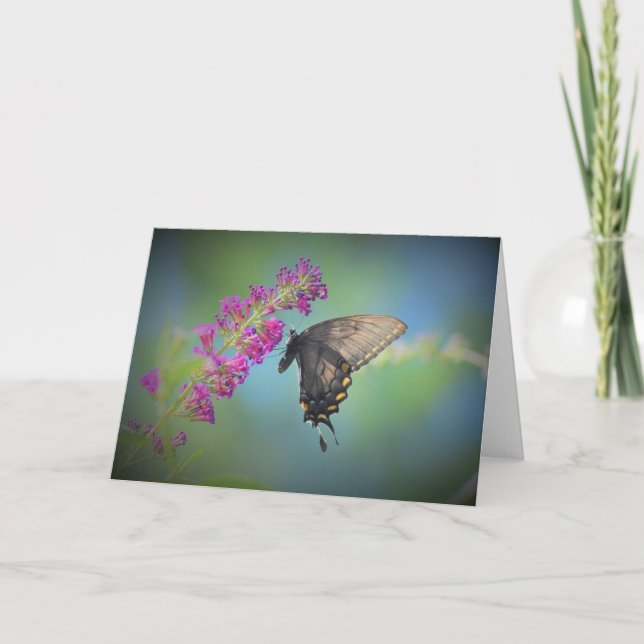 Butterfly, card (Front)