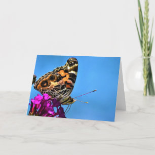 Butterfly, card