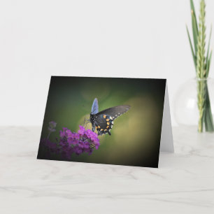 Butterfly, card